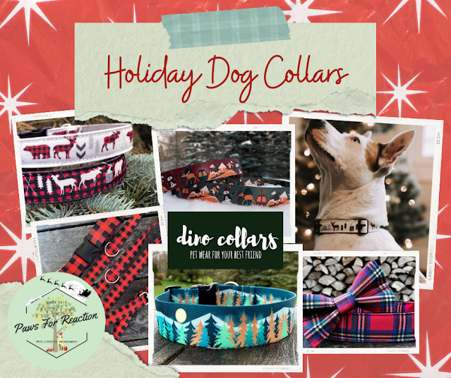 5 Exciting DIY Christmas Gifts for Dogs 2022 - CanadaPetCare Blog