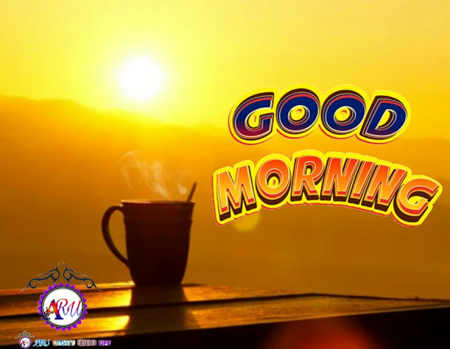 Good Morning Flowers || Good Morning Image Download || Aru Update Your LIfe