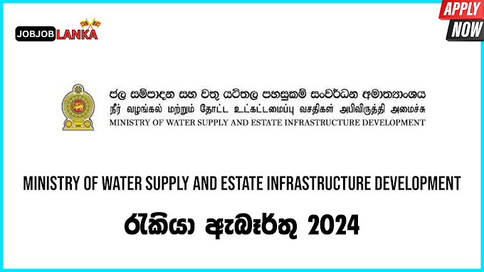 Internal Auditor – Ministry Of Water Supply And Estate Infrastructure Development Job Vacancies 2024