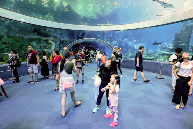 珠海長隆海洋王國．世界最大水族館