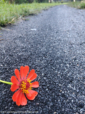 bunga di tepi jalan