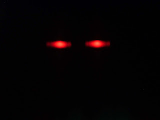 Resultado de imagen para ojos rojos en medio de la oscuridad