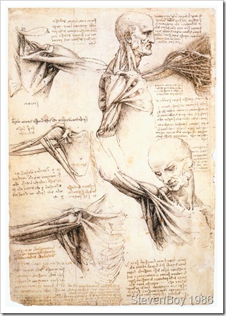 Anatomicalstudiesoftheshoulder Anatomicalstudiesoftheshoulder