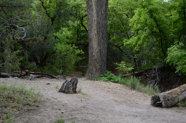 sign by the little canyon