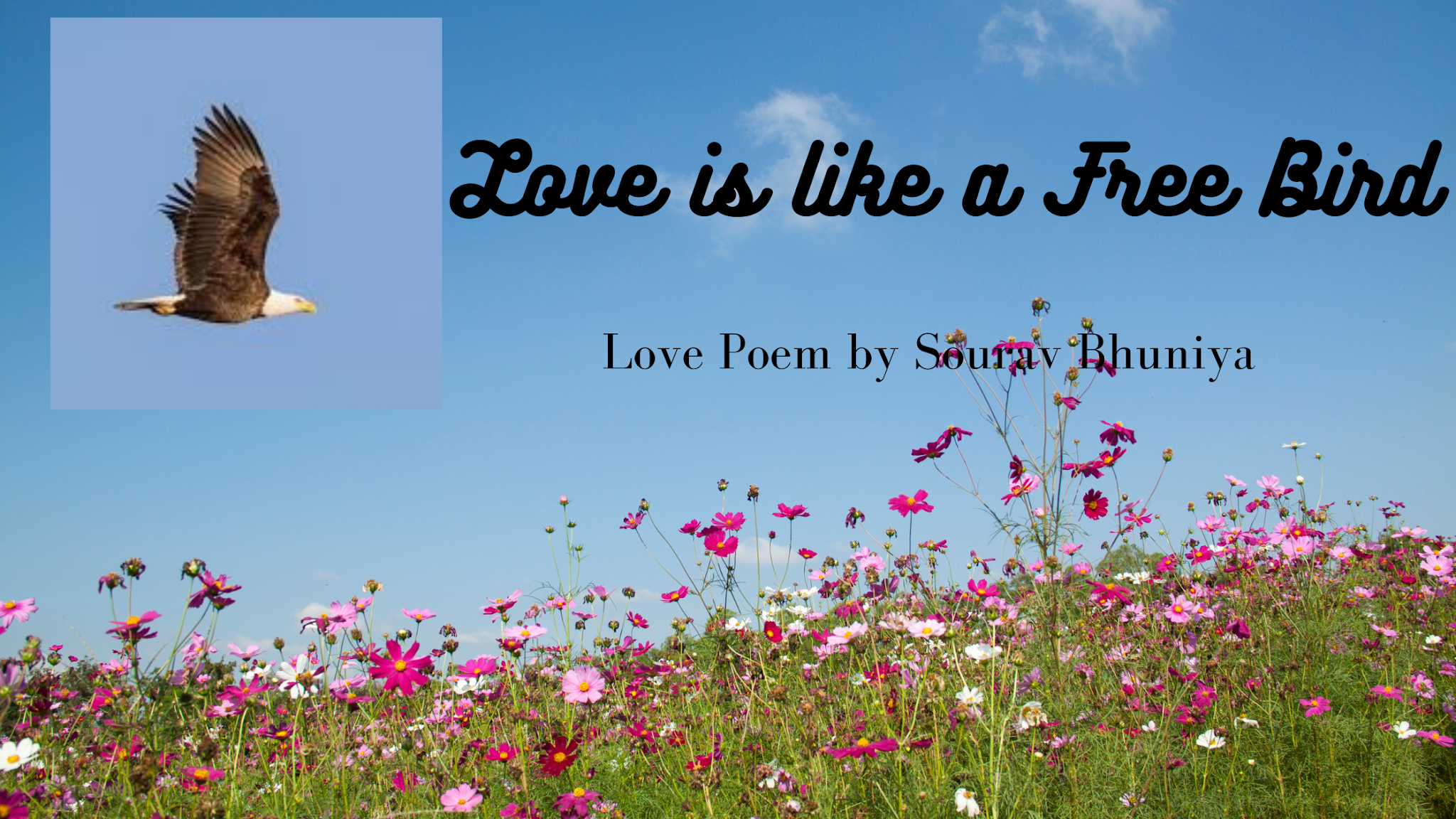 Love is like a Free Bird || Love Poem by Sourav
