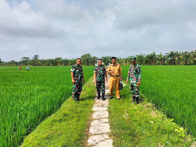 Pastikan Tepat Sasaran, Pasiter Kodim 0716/Demak Tinjau Lokasi Yang Akan di Jadikan Lokasi TMMD