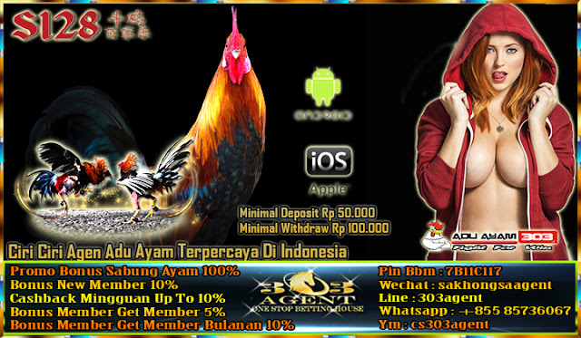 Mengenal Ciri Situs Agen Judi Sabung Ayam S128 Terpercaya