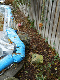 Bedford Park Toronto Garden Fall Clean up after by Paul Jung Gardening Services