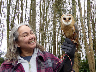 The Hawkeye Falconry Experience - Faithlegg House Hotel 