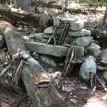 Fairy Houses