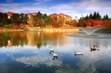 Pohang Yeongildae Lake
