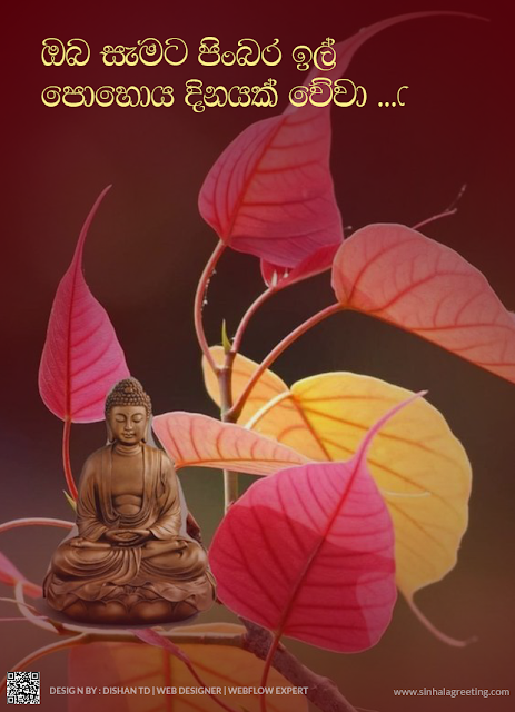 Il poya day wishes in sinhala - පිංබර ඉල් පොහෝ දිනයක් වේවා ! - 42