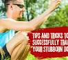 From Frustration to Success: Steps to Train Your Stubborn Dog