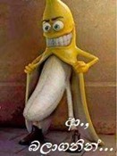 FaceBook_Comments_Photos