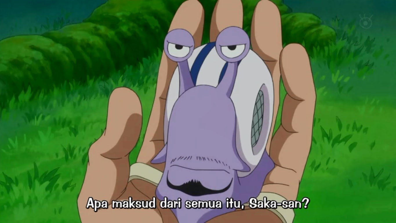 TIDAK ADA KATA TERLAMBAT UNTUK BELAJAR: one piece episode 