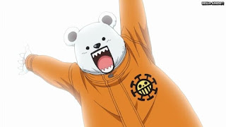 ワンピースアニメ ドレスローザ編 629話 ベポ かわいい | ONE PIECE Episode 629