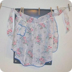 apron 2