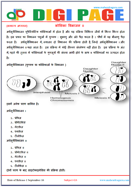  DP | Cell Divisions II | 01 -Sep-16 