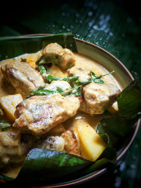 "Fish Nirvana - A flavourful Kerala fish delight with rich coastal spices."