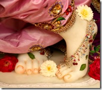 [Krishna's lotus feet]