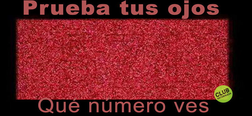 ¿Puedes ver tan bien como crees? Diagnostico rápido - Club 