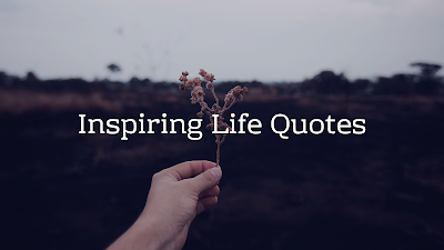 Inspiring Life Quotes - Brain Hack Quotes