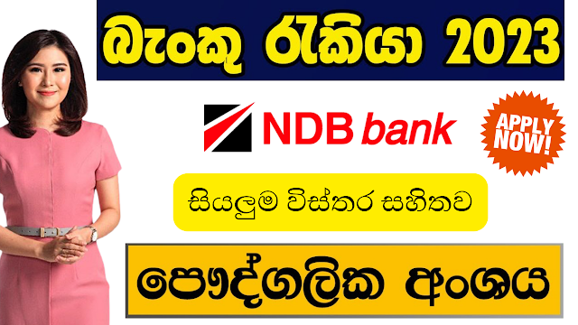 National Development Bank PLC/Customer Care Associates