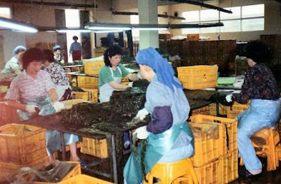 Seaweed Factory Products and Classifications