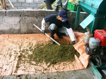 cara mengolah sampah organik menjadi pupuk Cara Mengolah Sampah Organik Menjadi Pupuk