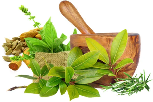 aayurvedic-medicine-is-best-medicine