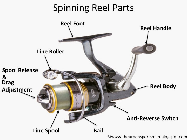 Understanding the Different Types of Fishing Reels - The Urban