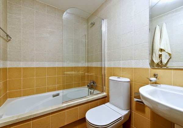 Apartment Bathroom Decorating Ideas