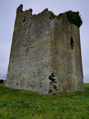 Tinnakill Castle, Laois