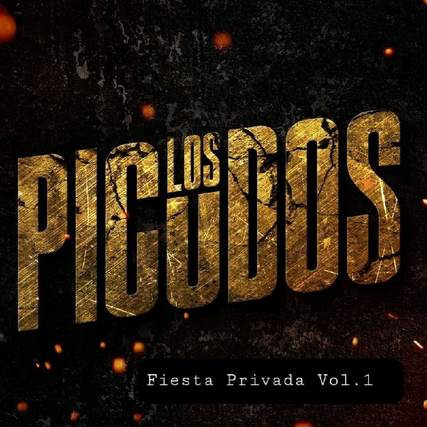 Los Picudos - Fiesta Privada Vol.1 (Album) 2021