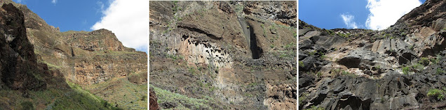 LA GOMERA EL RUMBAZO-IMADA-PAJARITO-MIRADOR LOS ROQUES-BENCHIJIGUA-EL RUMBAZO, Barranco de Guarímiar