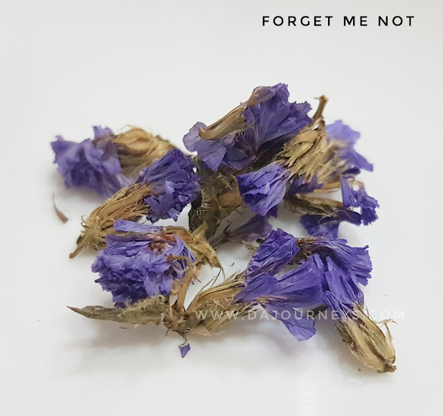 Manfaat dan Khasiat forget me not