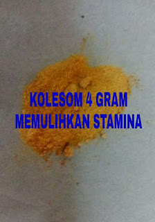 jual kolesom