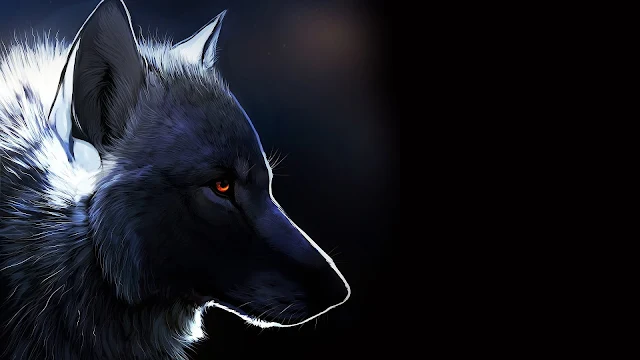 Plano De Fundo Lobo Branco