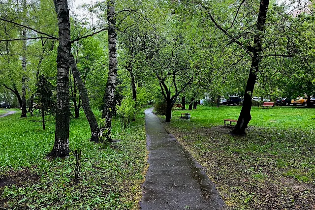 Аргуновская улица, 2-я Новоостанкинская улица, дворы