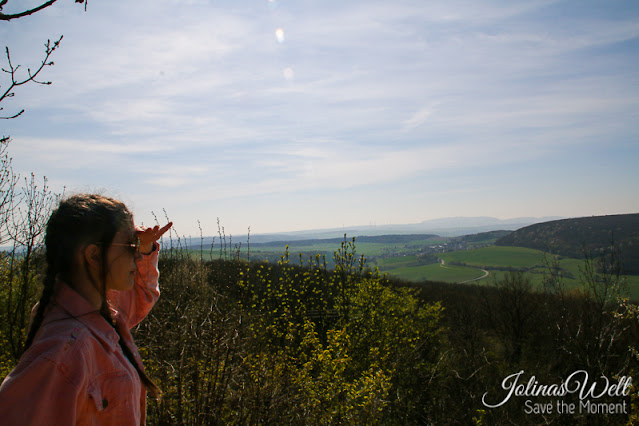 Aussichtspunkt Montfortblick auf dem Lemberg