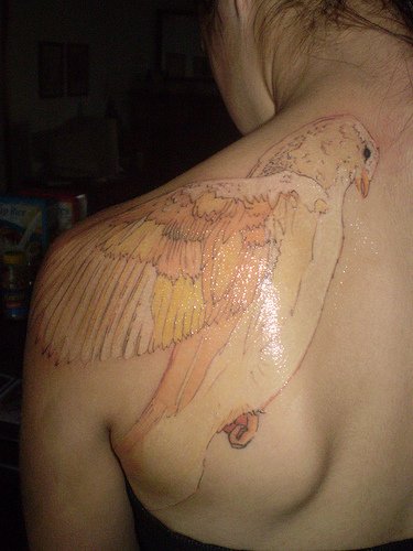 This might be fun but I would rather have a classic bird tattoo on my body 