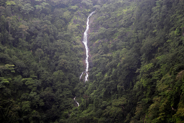 Another waterfalls flowing through the forest canopies