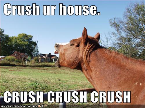 funny-pictures-horse-crushes-house.jpg
