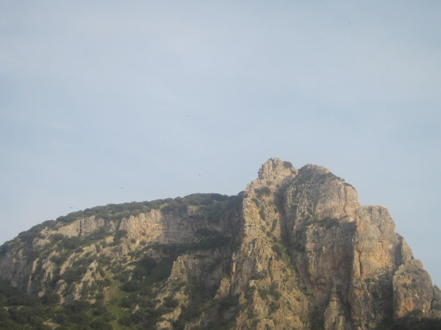 Peñón de Zaframagón