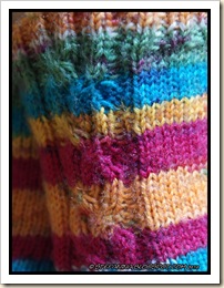 Tresse socks - cable close-up