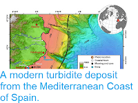 https://sciencythoughts.blogspot.com/2012/01/modern-turbidite-deposit-from.html