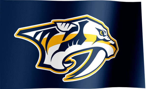 Nashville Predators, American hockey club, American creative flag