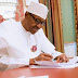 Buhari, military efforts in North- east underreported - Don