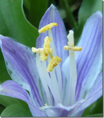 P1110644