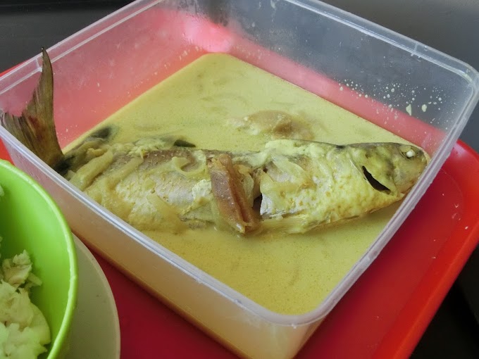 Ikan belanak masak santan sedap selera kampung